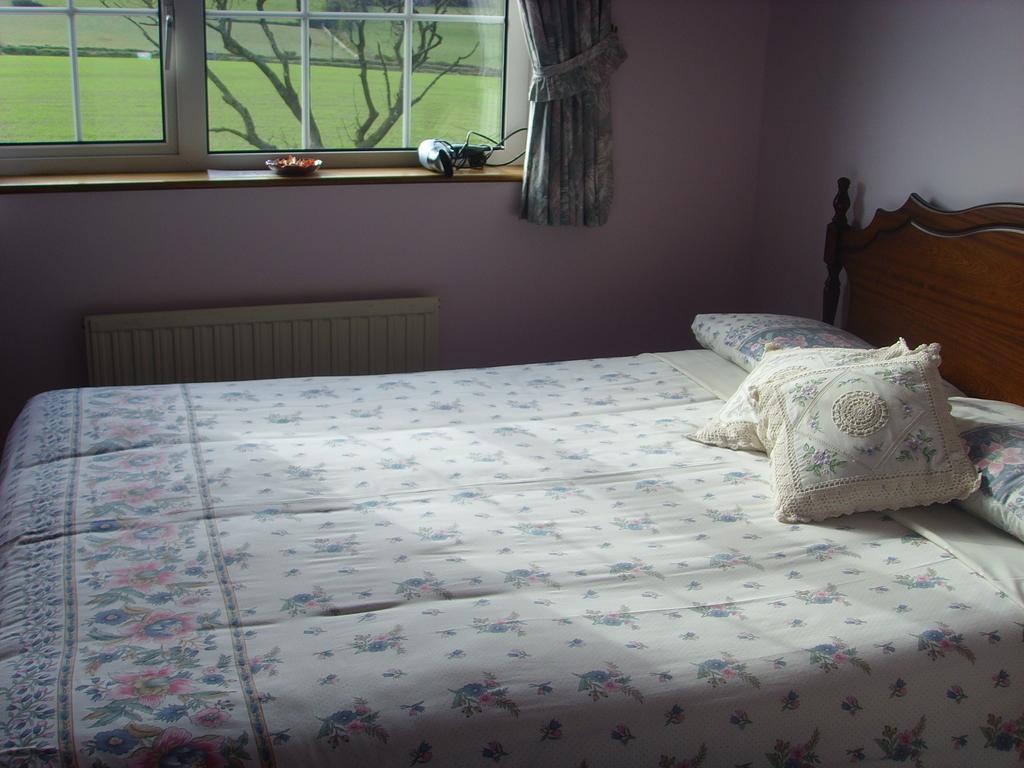 Springfield House B&B Clonakilty Habitación foto